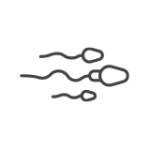 Spermatozoi – Centro PMA Palmer Spermatozoi - Centro PMA Palmer