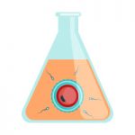 FIVET icon – Centro PMA Palmer Fecondazione artificiale: la prima fase del percorso, introduzione del seme maschile